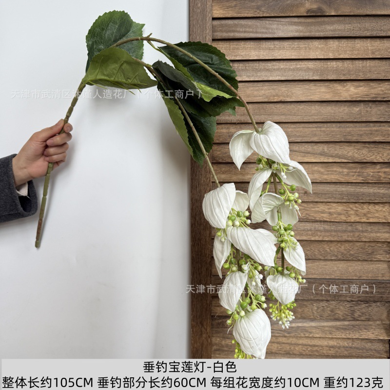 연꽃 랜턴