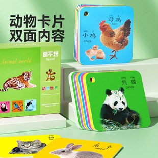 Literacy Cards, Baby Cognitive Cards, Kidsren's Literacy Cards, Picture Recognition, Enlightenment Pinyin, Infant Digital Early Education Flash Cards