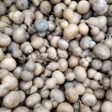 �S�����l�������J覴�Ʒβ؛��4-6�����������J���l