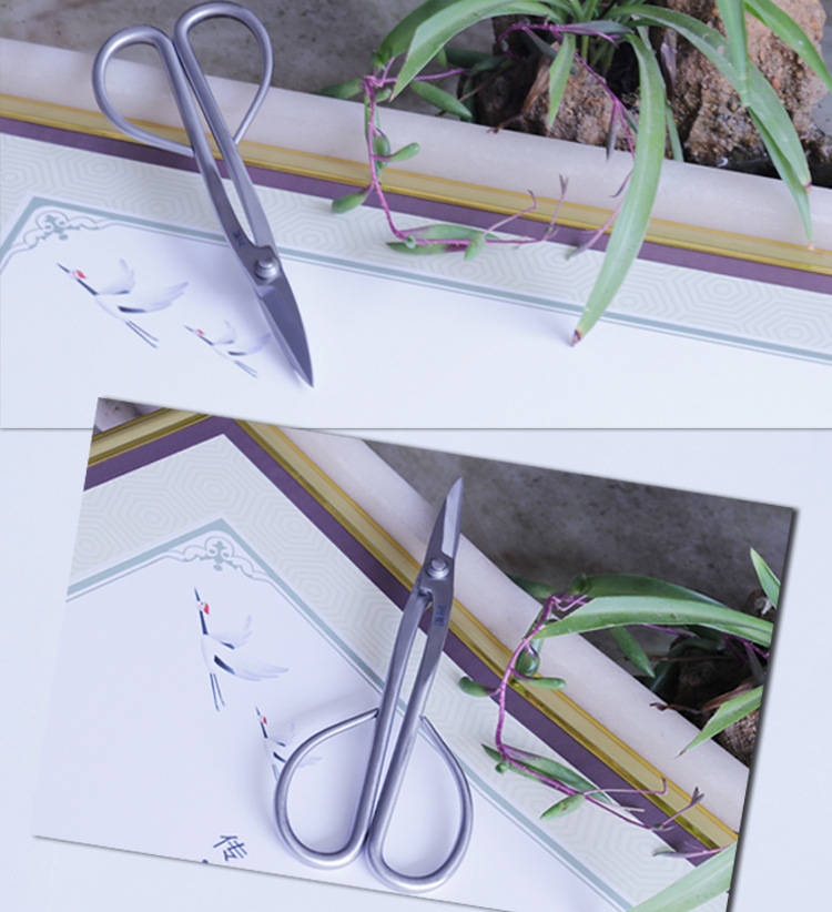 淘宝下白 叶.jpg