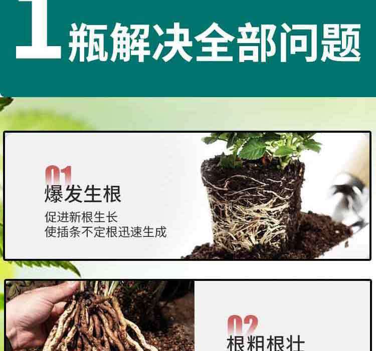 d6eaa0f9-a482-4d4c-8878-95bd37f92b66.jpe