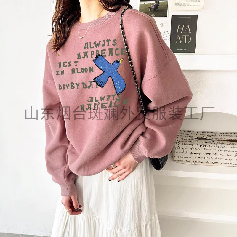 Original Factory Direct Supply of Foreign Trade Clothing Cc45R Starry Sky Bird Crew Neck Sweatshirt Japanese Style New Starry Sky Bird Letter Design