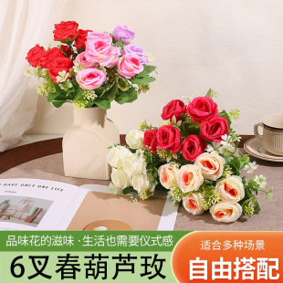 6�洺���Jõ��[����c�ٻ��b����zӰ����Сõ�廨�����Q�羳