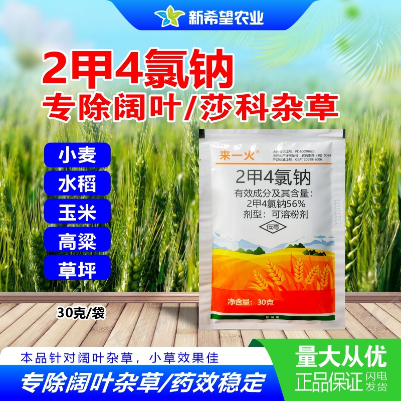 2甲4氯钠 小麦田除草剂 除阔叶和莎科杂草荠菜刺儿菜水苋菜蓼
