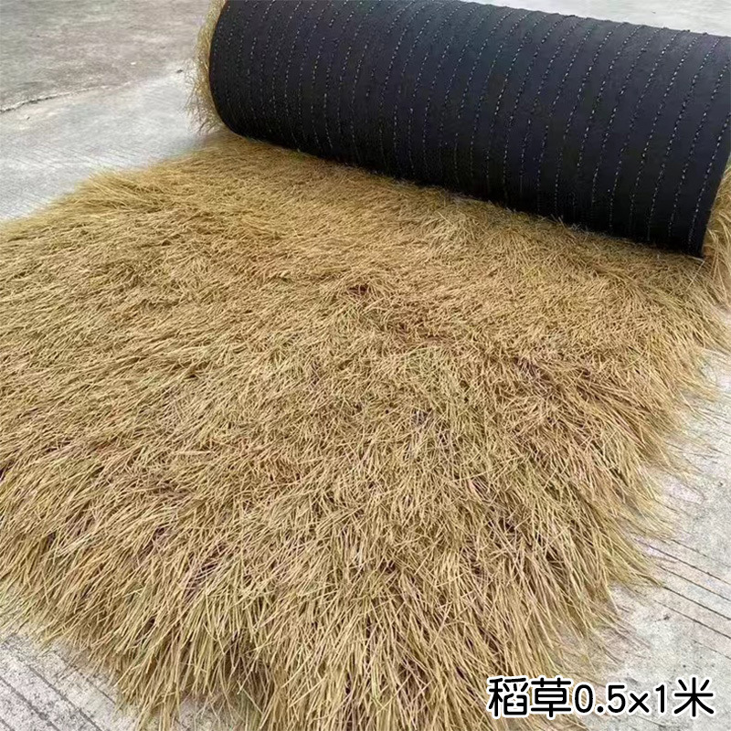 幼稚園の秋の環創自然角のテーマ秋の干物教室の廊下に植物活動の国風活動の展示を配置します。|undefined