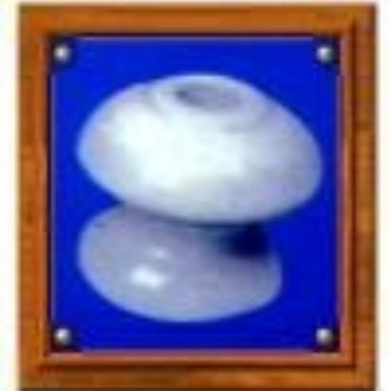 供应ED-1蝴蝶瓷瓶