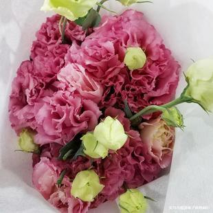 ��۹��r�����������đ�ݻ���[���仨���ϻ������l