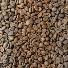 云南生豆罗豆咖啡生豆水洗生豆多风味散装多目G1G2商业批发正品