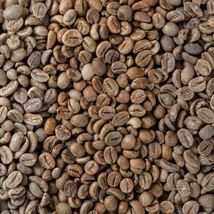 ��������_����������ˮϴ�������Lζɢ�b��ĿG1G2�̘I���l��Ʒ