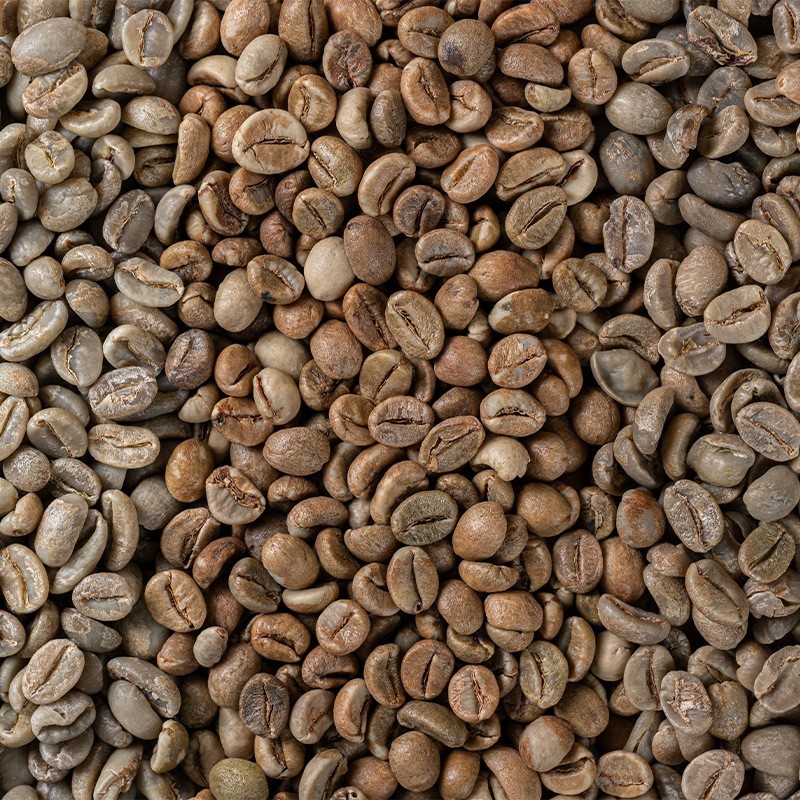 云南生豆罗豆咖啡生豆水洗生豆多风味散装多目G1G2商业批发正品