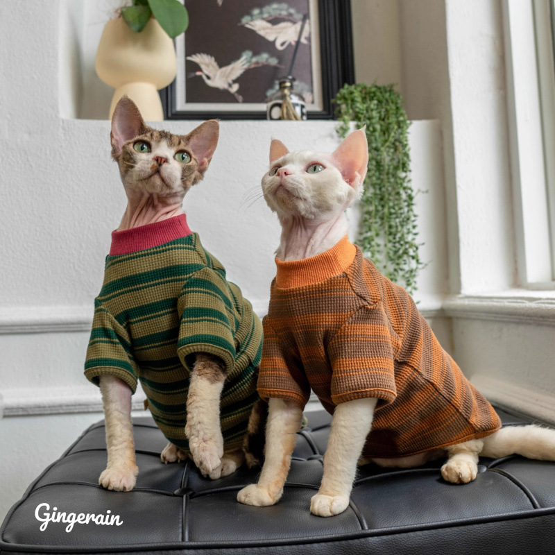 Mascotas alemanas ropa de gato primavera y otoño delgada gato muñecas gato gato sin pelo rayas camiseta de cuello redondo modelo básico