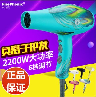 Fire Phoenix 8960 hair dryer hair salon dedicated high-power barber shop household large wind hair dryer wholesale