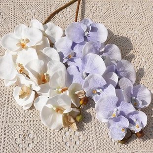 ���滨�����m��֦�W��10�^�����m�ҾӔ[�Ż�cܛ�b�zӰ�b��m��