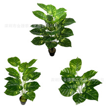 �羳������ˮ�G�}�҃����Ԕ[������Gֲ���W�L��Y����z���滨