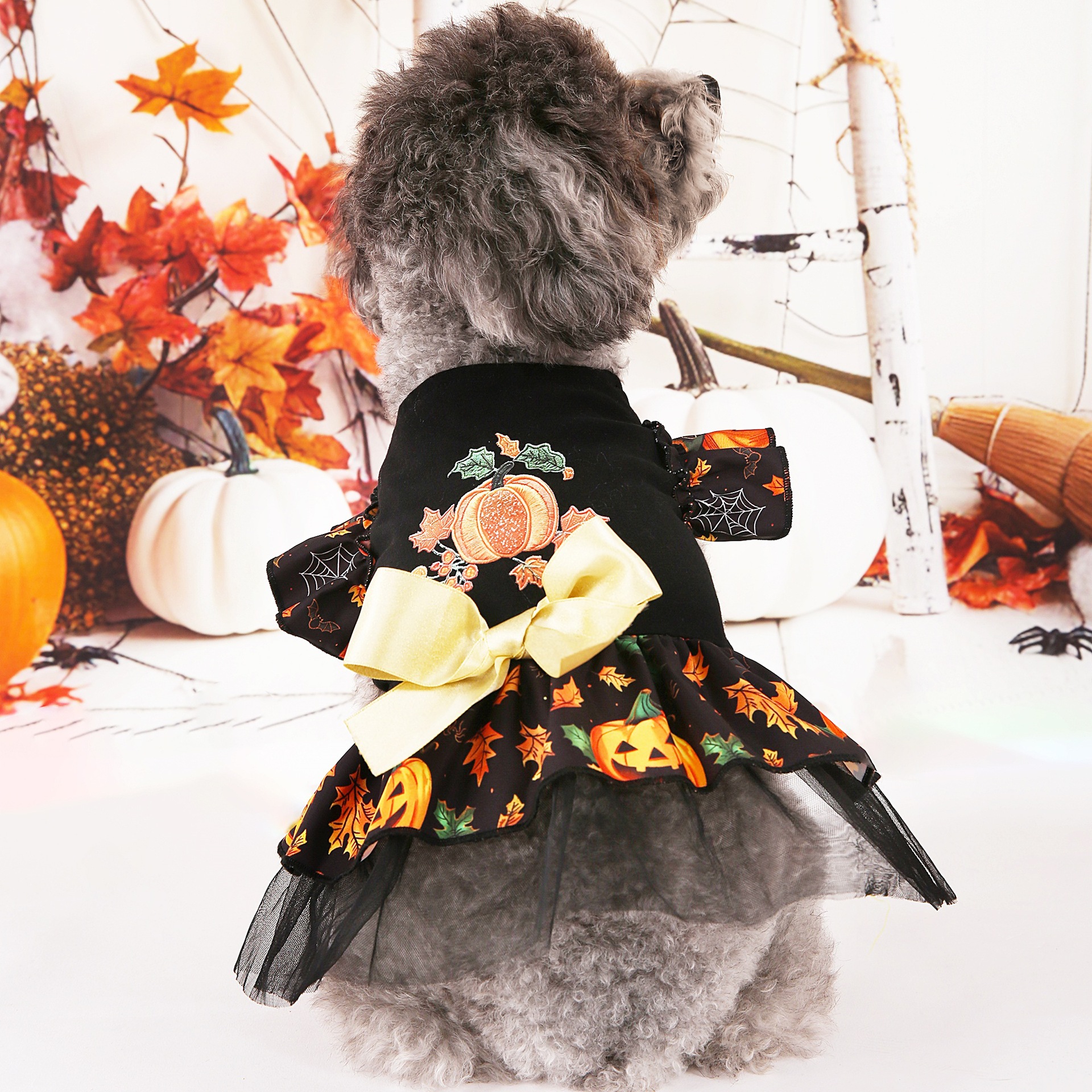 Ropa de mascotas Halloween Ropa de perro Ropa de mascotas Ropa de perro Ropa de brujo Ropa de calabaza Fiesta Amazon
