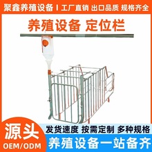 养殖场母猪定位栏落地式限位栏 猪用定位栏带槽 加厚产床仔猪保育