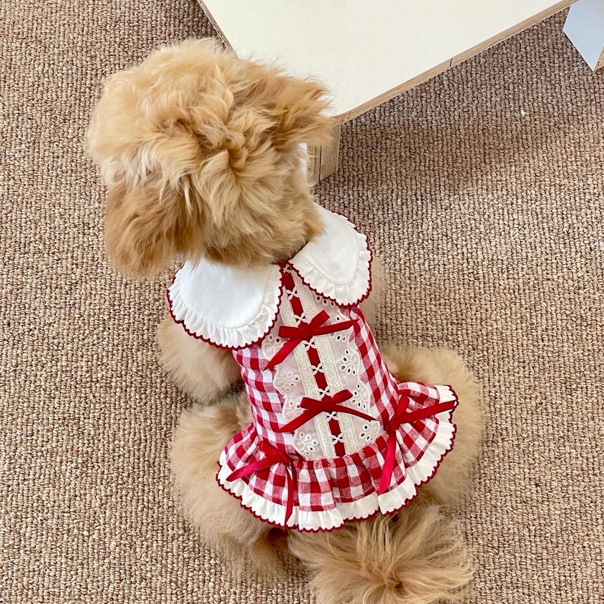 Vintage rutig hundklänning för vår och höst hundmode_voghion.com