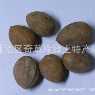 �����,�䱳��ș�Ĵ����,��ș�����