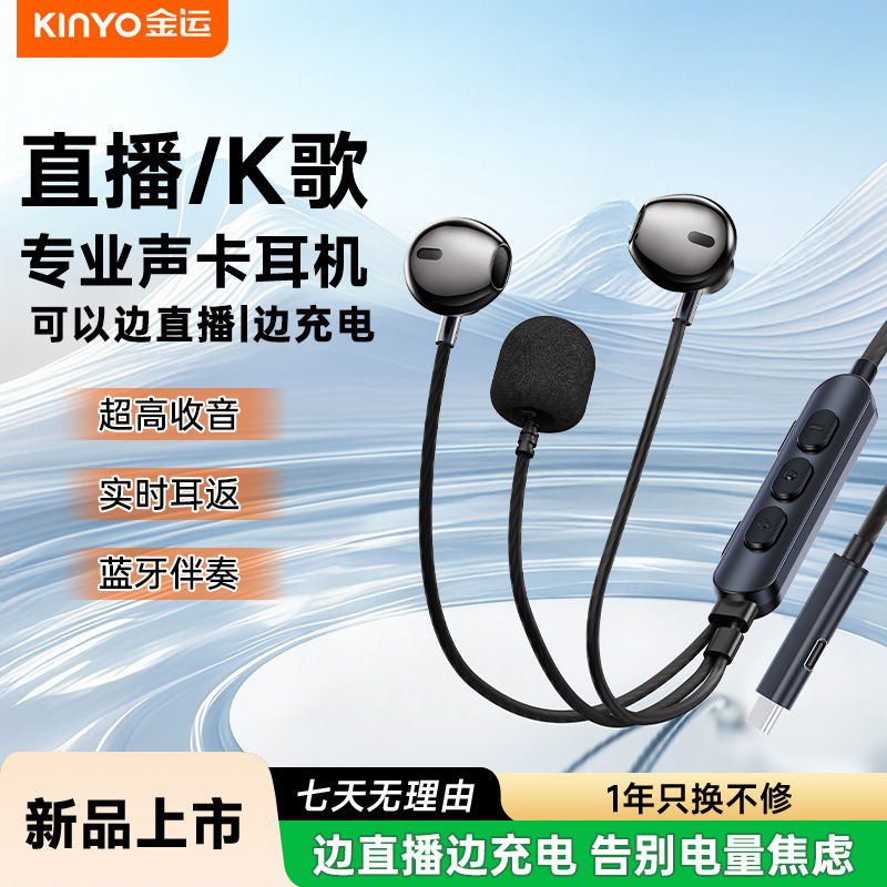 Jinyun Y19 Wired Typec Headphones with Built-In Sound Card and Microphone, Comfortable for Long Wear, Suitable for Singing and Live Streaming