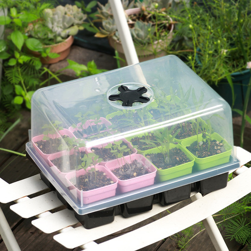 Manufacturer's cross-border plug tray nursery pot 12-grid nursery box lid and heightened color box set small cup flower pot nursery tray batch