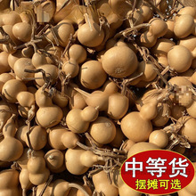 С���Jһ��؛Դ�����^��Ȼ����С����������ؔ����湩��