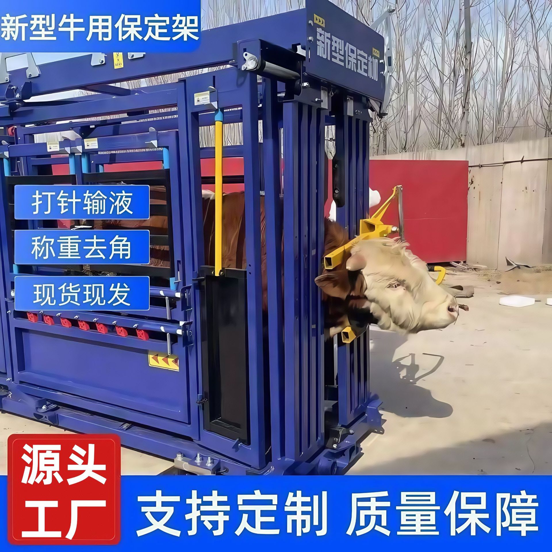 牛用保定枷称重牛场用设备打针输液手术操作简单畜牧机械分群设备