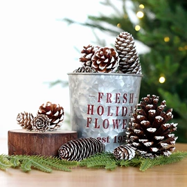 圣诞装饰品;圣诞球;圣诞树