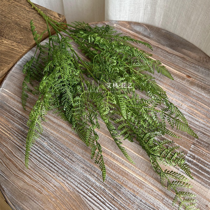 Adiantum 키가 큰 지점 순수한 녹색