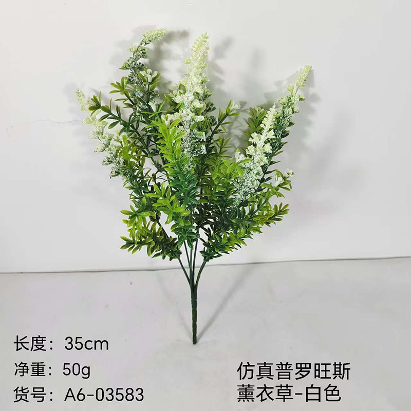 Lavanda blanca de Provenza