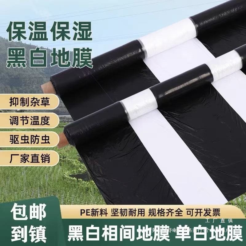 批发地膜农用种植打孔黑白加厚防草种花生土豆种菜种甘蔗种玉米