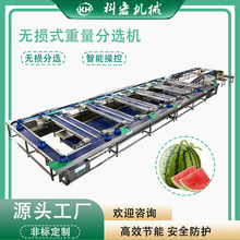 �ƺ�Cе�o�p�������x�C���ϟo�p�������x������ʹ������ܷ��x