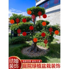 �Y��ϲ�֒�鷿����ͥԺ�b����ԾGֲ�����b���Y�辰�����N