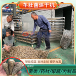 空气能羊肚菌烘干机 羊肚菜香菇红蘑菇烘干房 食用菌类脱水烘烤机