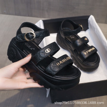 ЬŮŮL2023ļ¿ɸ¸WtinsɳŮЬW