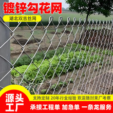 圈地养殖围栏铁丝网镀锌勾花网边坡防护网热镀锌钢丝网菱形编织网