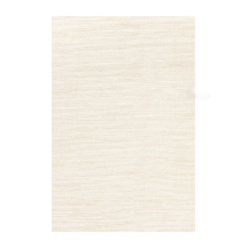 New simple carpet living room home thickened bedroom bedside floor mat large area full paving 2024 light luxury and high-end sense