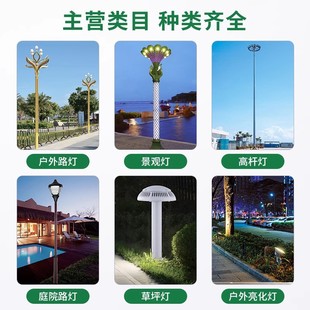 Municipal Engineering Street Light Magnolia Light Eight-Pronged Nine-Fire Chinese Light Outdoor High Pole Landscape Light Road Lighting Street Light
