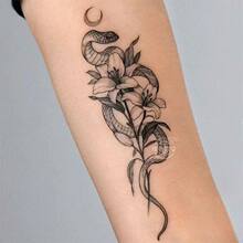 �͹����߰ٺϼy���N�ݱ���֭��ˮ�����ֱ�ins�L�������������N��