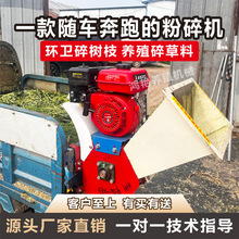 yʽ厲ݙCɝzCƄ֦C÷C@ֽնBֳвݙC