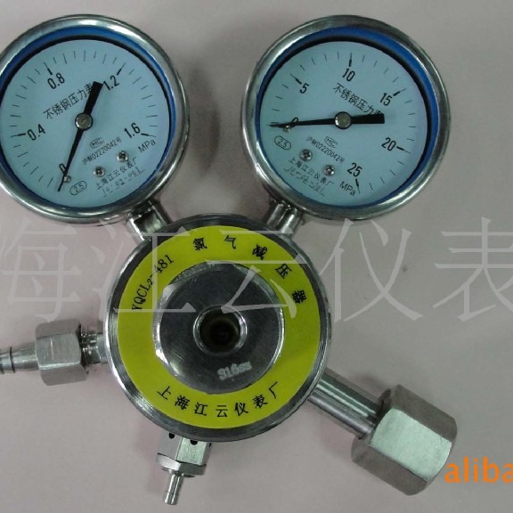 供应 耐腐蚀减压器