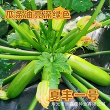 �������M�߮a�����J�N�ӷN���ݴ�G�ͺ��͟Ό�������J���첻Ъ��