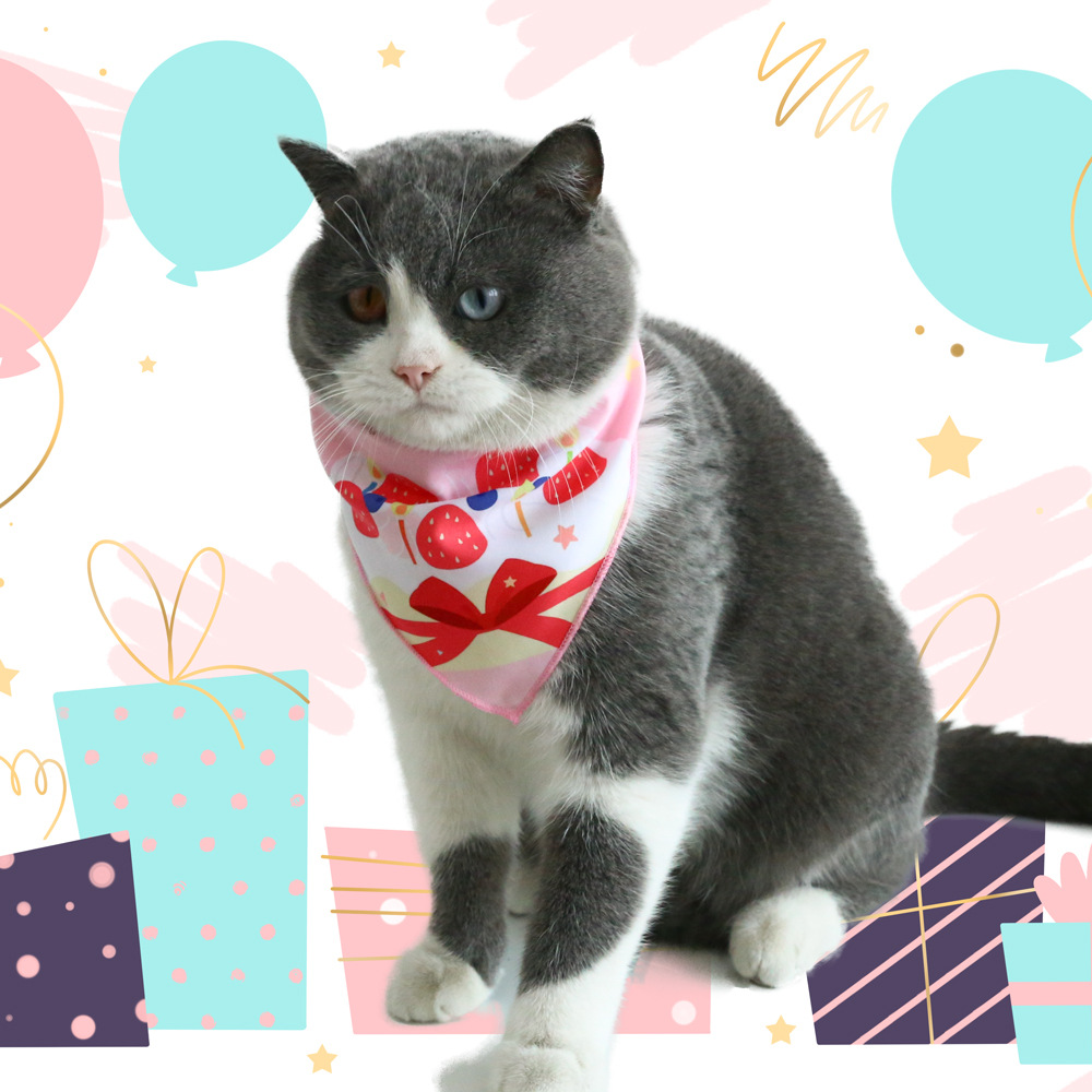 Comercio exterior Amazon mascota gato perro cumpleaños equipo de dibujos animados impresión toalla triangular toalla saliva collar accesorios