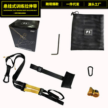 P3-Trx悬挂式训练带 套装悬挂训练拉力带 瑜伽健身器材悬吊阻力带