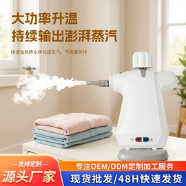 挂烫机;蒸汽清洁机;清洁球/刷