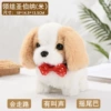 Totor St. Bernard [Mi]