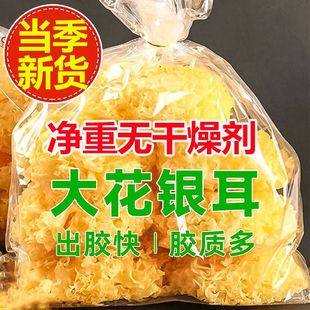 ������؛�y�����y��ѩ����ľ�����ɏ�Ӱٺ��y�����������l