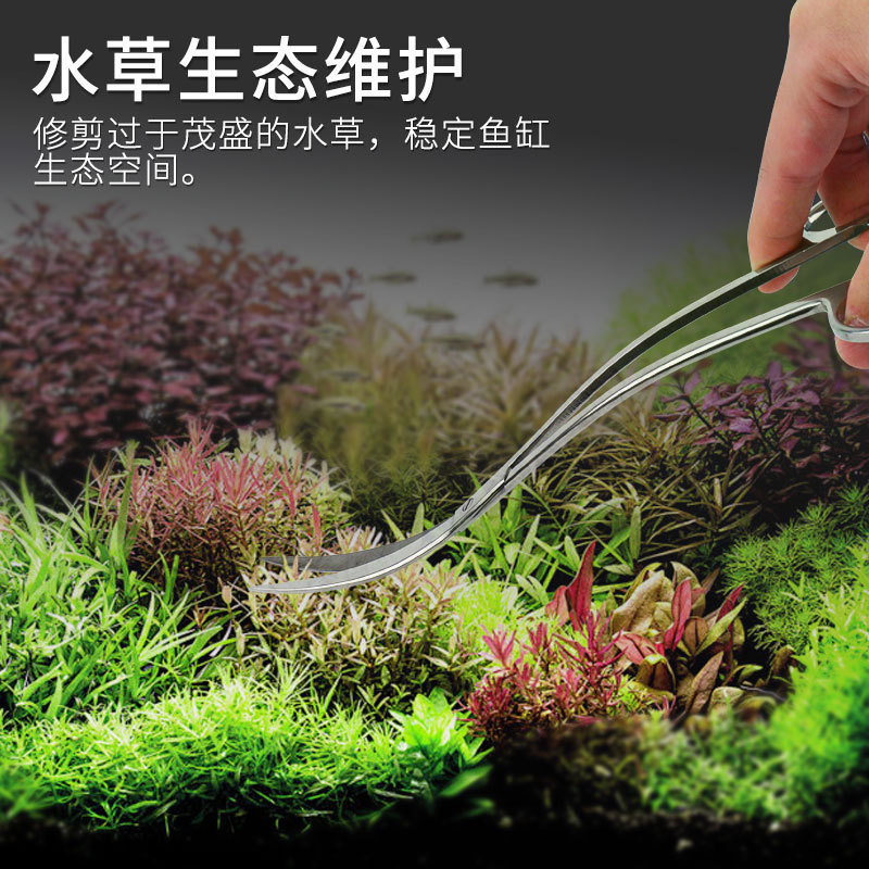 水族工具大全全セットの水草を切って水草を切ります。|undefined