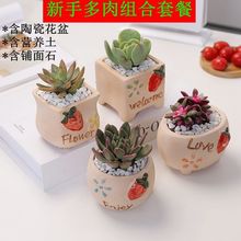 ֲﺬ莧ײֽMԺB׻k҃ȾGֲ