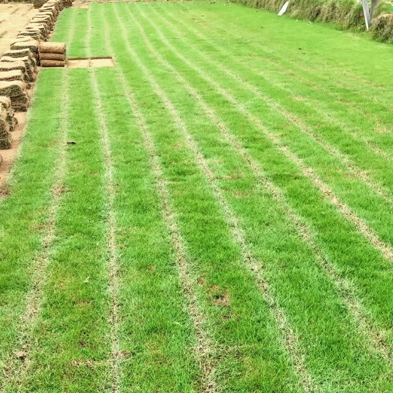 82e7dd5fbbc2089af188510e4a01a3