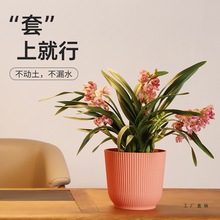 ���ϻ���G�}�m�����������ڏ��҃ȾGֲˮ���b��豱�W���s�Ӻ�